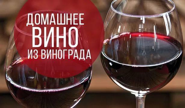 Отель Гостевой дом Лев Пицунда Экстерьер фото